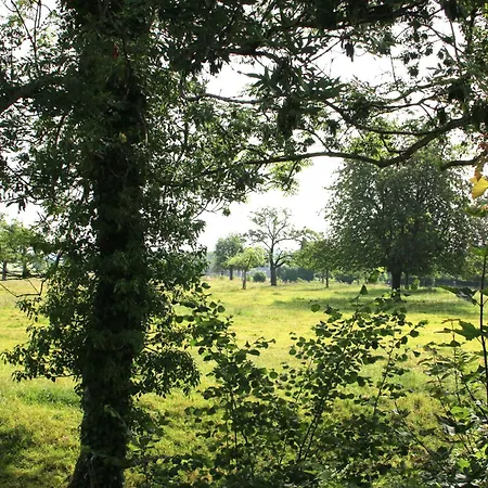 Bed & Breakfast Bed En Breakfast Reijmerstok *