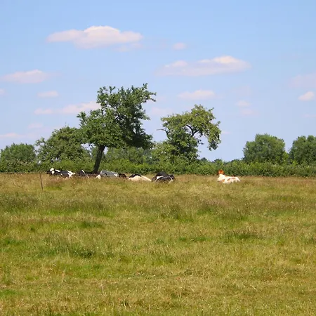 Bed & Breakfast Bed En Breakfast Reijmerstok Reijmerstok