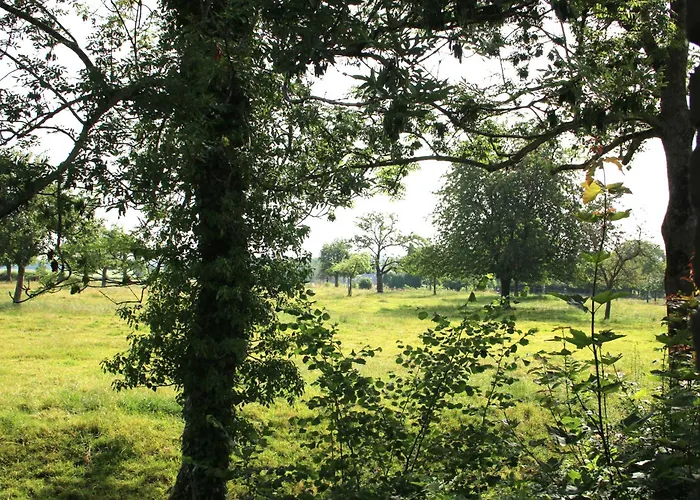 فندق مبيت وإفطار Bed En Breakfast Reijmerstok *