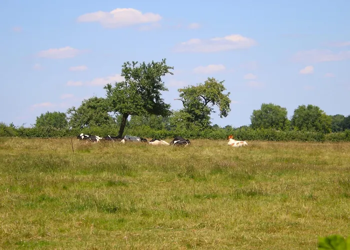 فندق مبيت وإفطار Bed En Breakfast Reijmerstok Reijmerstok